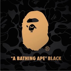 A bathing ape