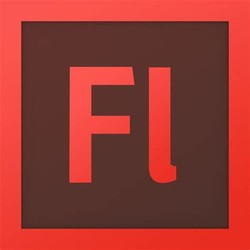 Adobe flash professional