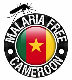 Against malaria foundation