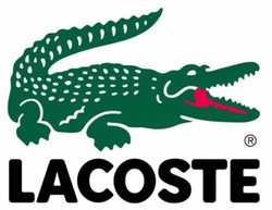 Alligator company
