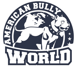 American bully