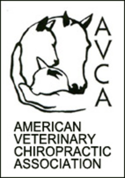 American chiropractic association