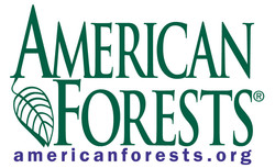 American forests