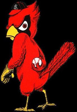 Angry cardinal