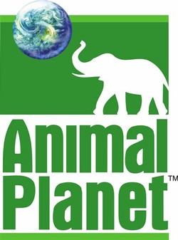 Animal channel