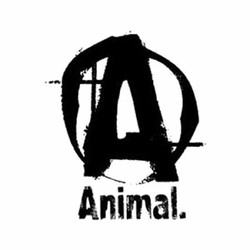 Animal clothing