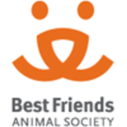 Animal friends