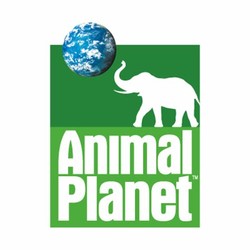 Animal planet channel