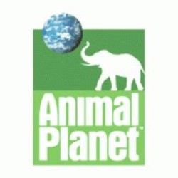 Animal planet channel