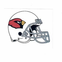 Arizona cardinals helmet