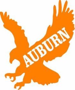 Auburn eagle