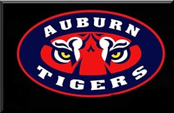 Auburn tiger eyes
