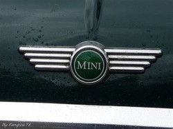 Austin mini