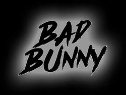 Bad bunny