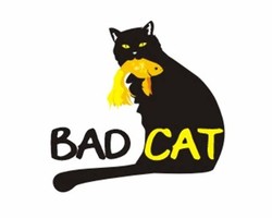 Bad cat