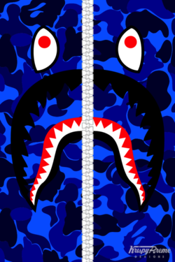 Bape shark