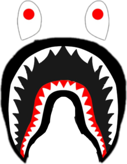 Bape shark