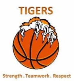 Basketball tiger