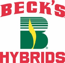Becks seed
