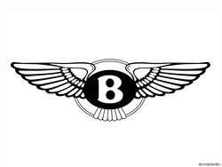 Bentley wings