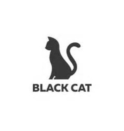 Big black cat