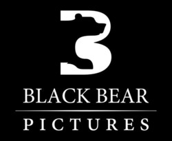 Black bear pictures