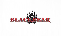 Black bear pictures