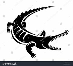 Black crocodile