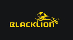 Black lion