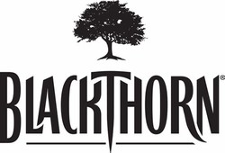 Blackthorn cider