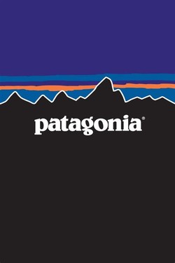Blank patagonia