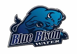 Blue bison