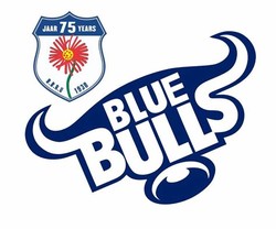 Blue bulls rugby
