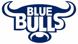 Blue bulls rugby