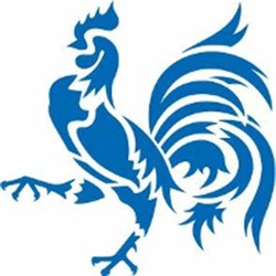 Blue chicken