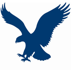 Blue eagle