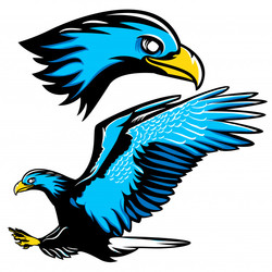 Blue eagle