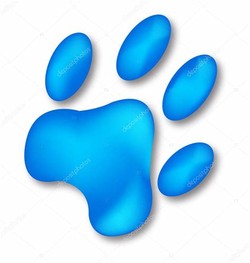 Blue footprint