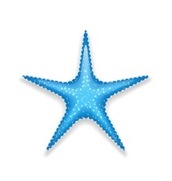 Blue starfish