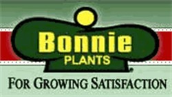 Bonnie plants
