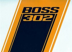 Boss 302