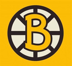 Boston bruins alternate