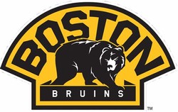 Boston bruins bear