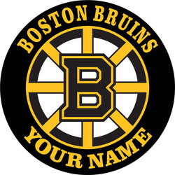 Boston bruins iron on