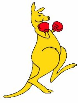 Boxing kangaroo