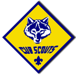Boy scout