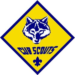 Boy scout