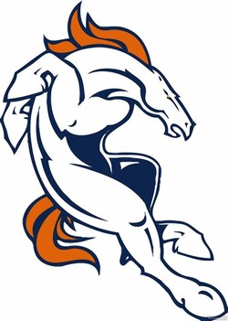 Broncos horse
