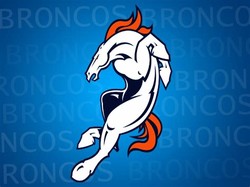 Broncos horse