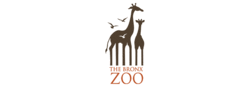 Bronx zoo